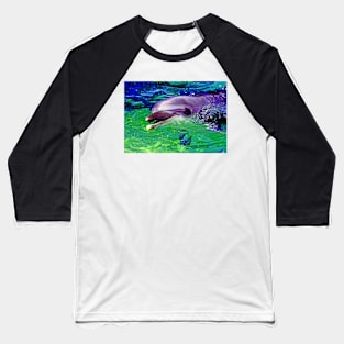 dolphin's smile Baseball T-Shirt